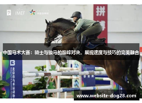 中国马术大赛：骑士与骏马的巅峰对决，展现速度与技巧的完美融合